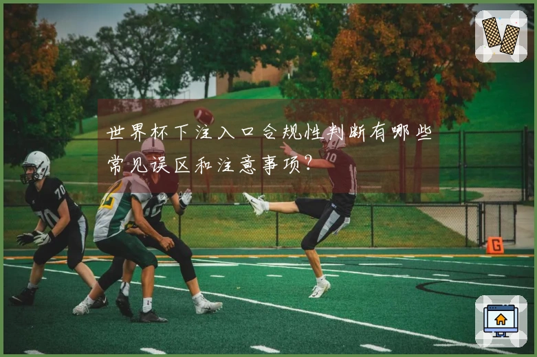 世界杯下注入口合规性判断有哪些常见误区和注意事项？