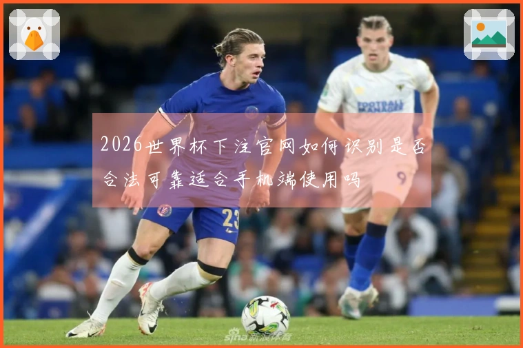 2026世界杯下注官网如何识别是否合法可靠适合手机端使用吗