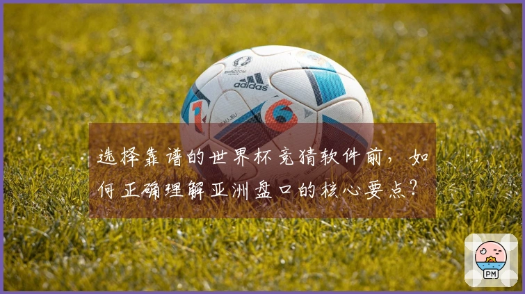 选择靠谱的世界杯竞猜软件前，如何正确理解亚洲盘口的核心要点？