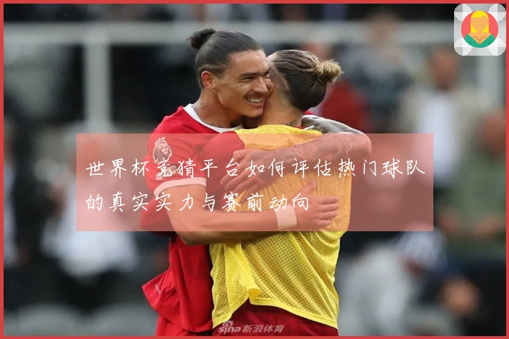 世界杯竞猜平台如何评估热门球队的真实实力与赛前动向