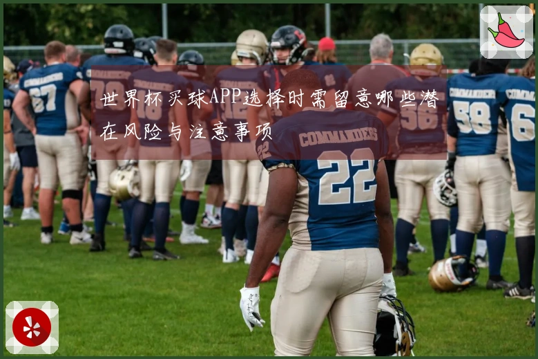 世界杯买球APP选择时需留意哪些潜在风险与注意事项