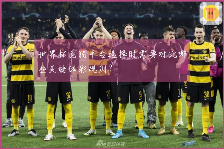 世界杯竞猜平台选择时需要对比哪些关键体彩规则？