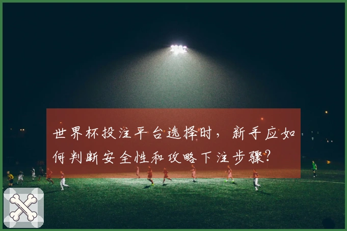 世界杯投注平台选择时，新手应如何判断安全性和攻略下注步骤？