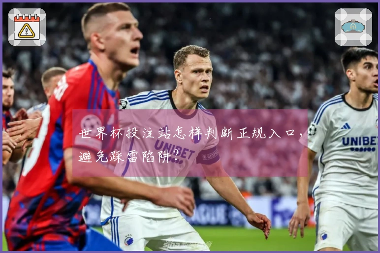 世界杯投注站怎样判断正规入口，避免踩雷陷阱？