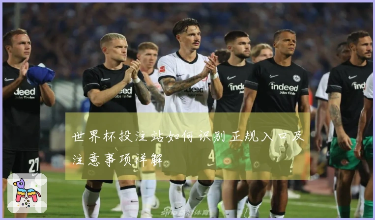 世界杯投注站如何识别正规入口及注意事项详解
