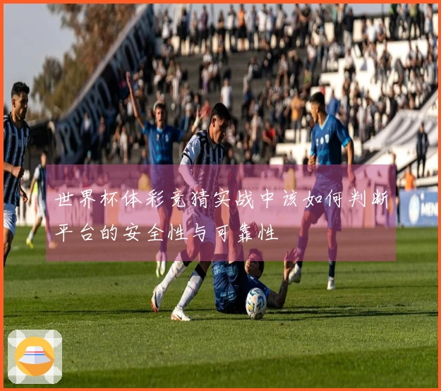世界杯体彩竞猜实战中该如何判断平台的安全性与可靠性