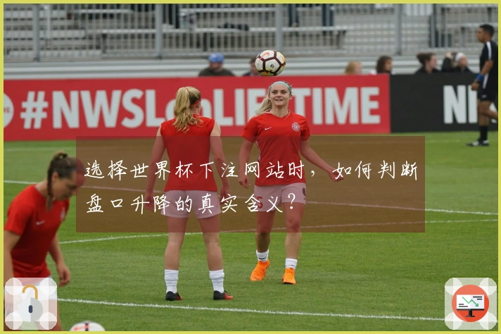 选择世界杯下注网站时，如何判断盘口升降的真实含义？