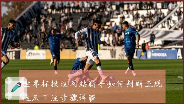 世界杯投注网站新手如何判断正规性及下注步骤详解