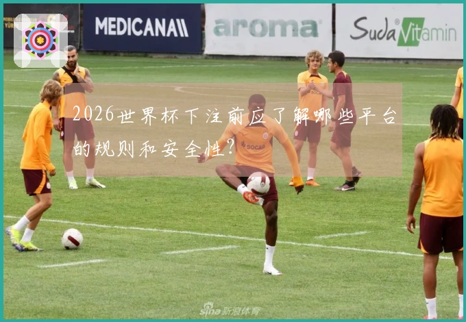 2026世界杯下注前应了解哪些平台的规则和安全性？