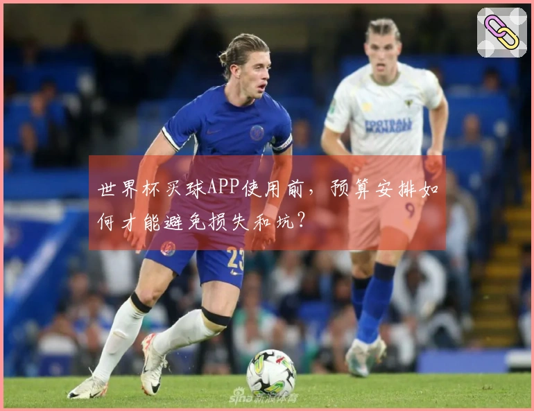 世界杯买球APP使用前，预算安排如何才能避免损失和坑？