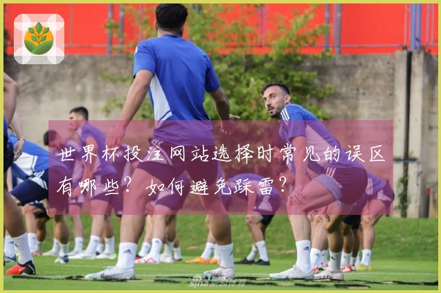 世界杯投注网站选择时常见的误区有哪些？如何避免踩雷？