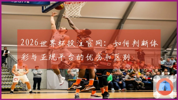 2026世界杯投注官网：如何判断体彩与正规平台的优劣和区别
