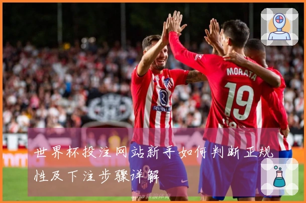 世界杯投注网站新手如何判断正规性及下注步骤详解