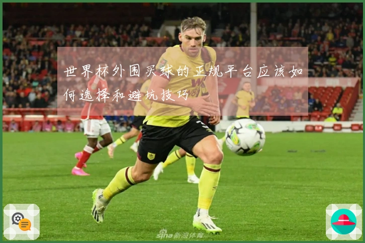 世界杯外围买球的正规平台应该如何选择和避坑技巧