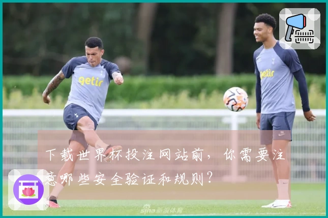 下载世界杯投注网站前，你需要注意哪些安全验证和规则？