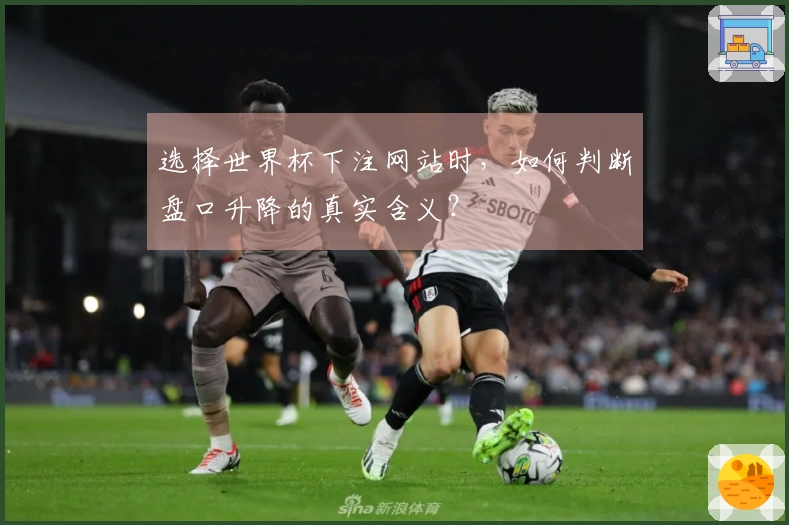 选择世界杯下注网站时，如何判断盘口升降的真实含义？