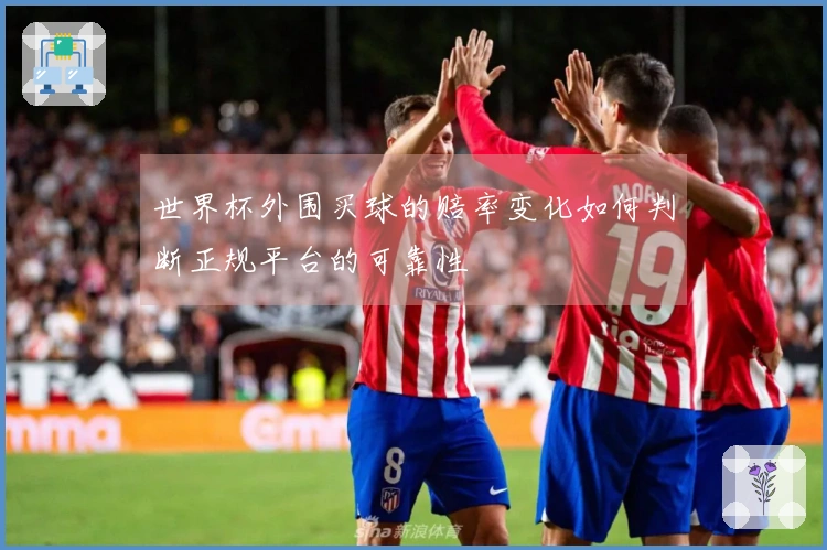 世界杯外围买球的赔率变化如何判断正规平台的可靠性