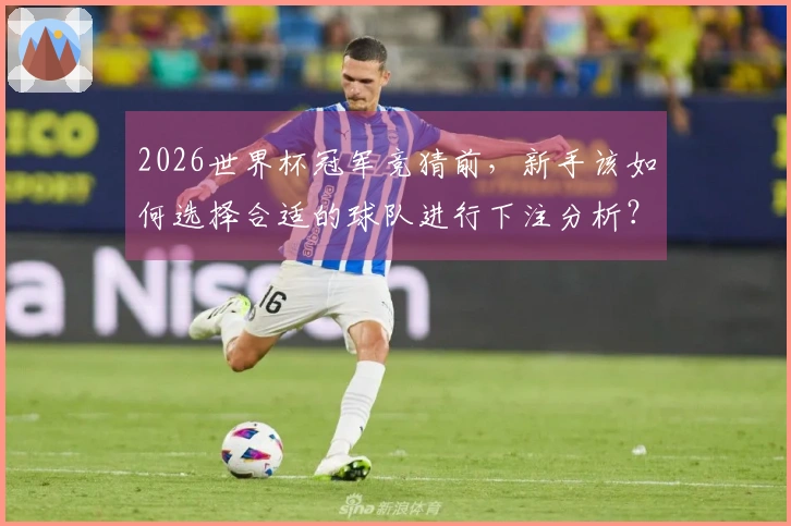 2026世界杯冠军竞猜前，新手该如何选择合适的球队进行下注分析？